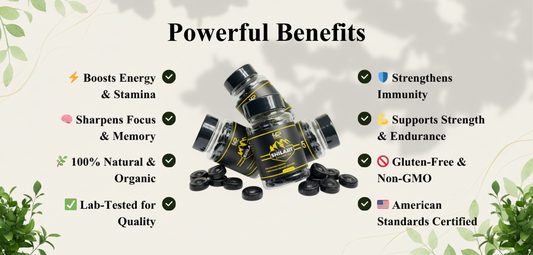 Top Benefits of Shilajit Gummies | Natural Energy & Immunity Boost