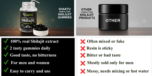 Shilajit gummies energy and immunity booster – natural supplement for stamina, focus, and wellness
